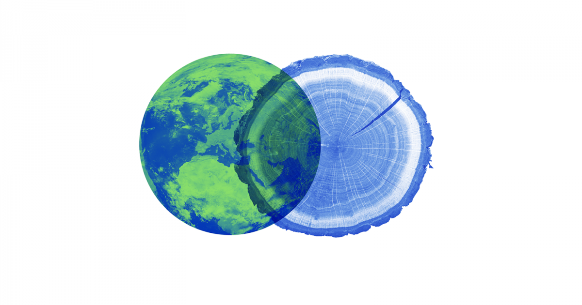 Thumbnail for Sustainability at Sheffield  Player