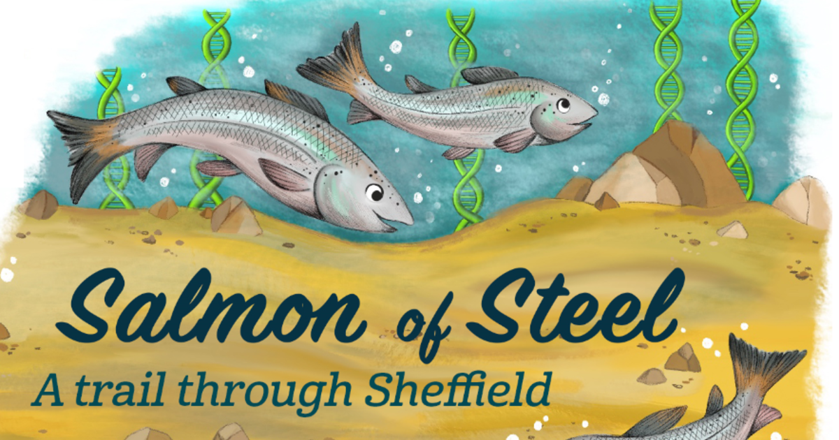 Thumbnail for Salmon of Steel: Steel City River Walk  Player
