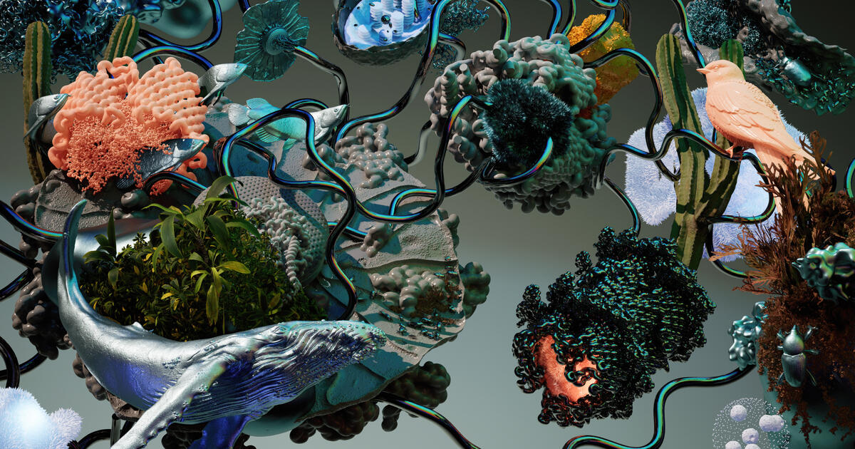 Thumbnail for BioFest  Player