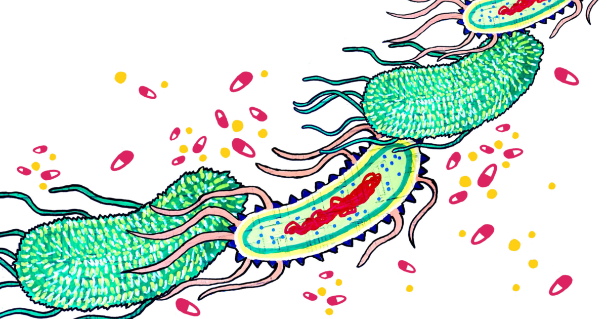 Thumbnail for BioFest Zine  Player