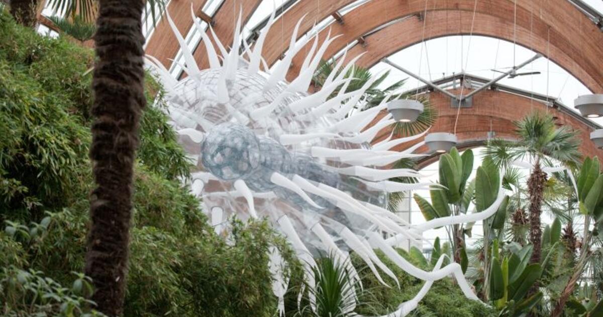 Thumbnail for From Microbes to Mammals: BioFest Showcases the Diversity of Life  Player