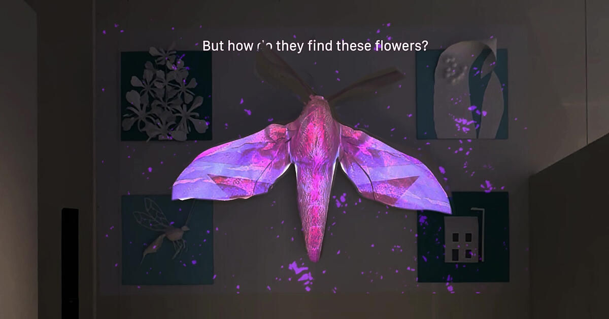 Thumbnail for Signals: Moth Messages and Plant Prompts  Player