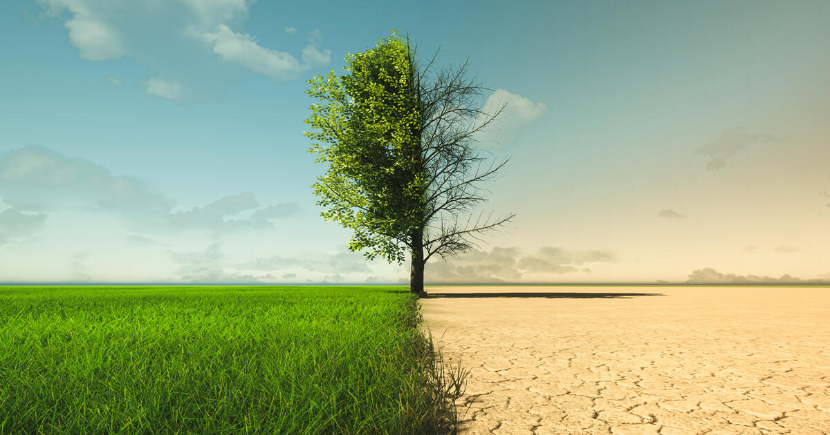 Thumbnail for Climate Change  Player