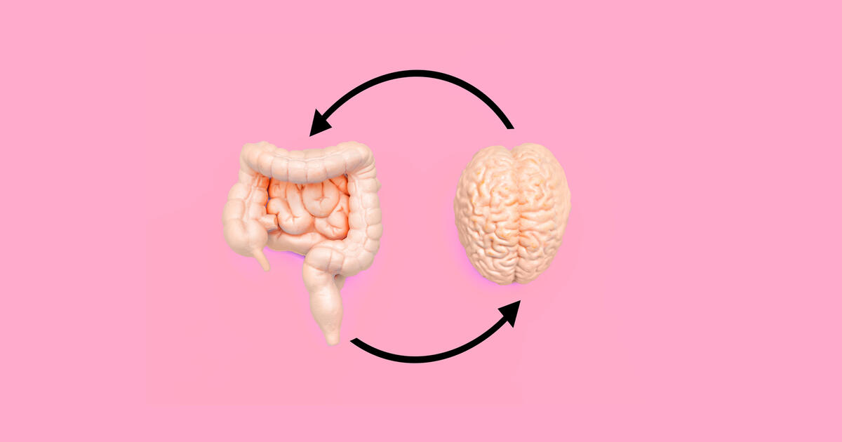 Thumbnail for The Gut-Brain Connection  Player