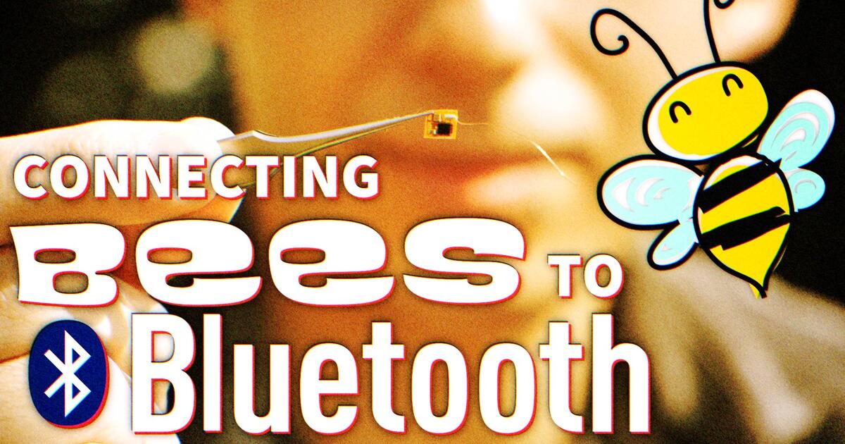 Thumbnail for Connecting Bees to Bluetooth  Player