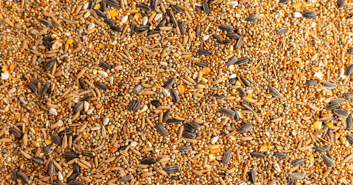 Thumbnail for Co-Creating Sustainable Food Systems: Seeds  Player