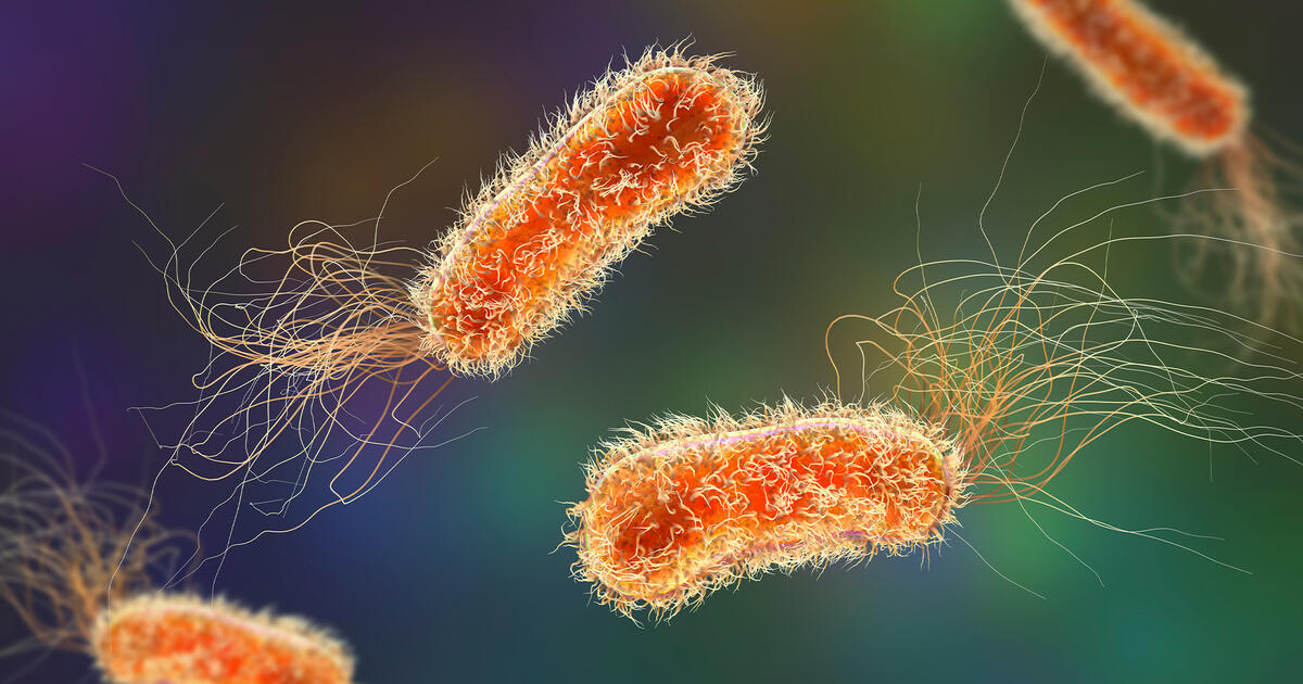 Thumbnail for Better Bacteria for Better Crops  Player